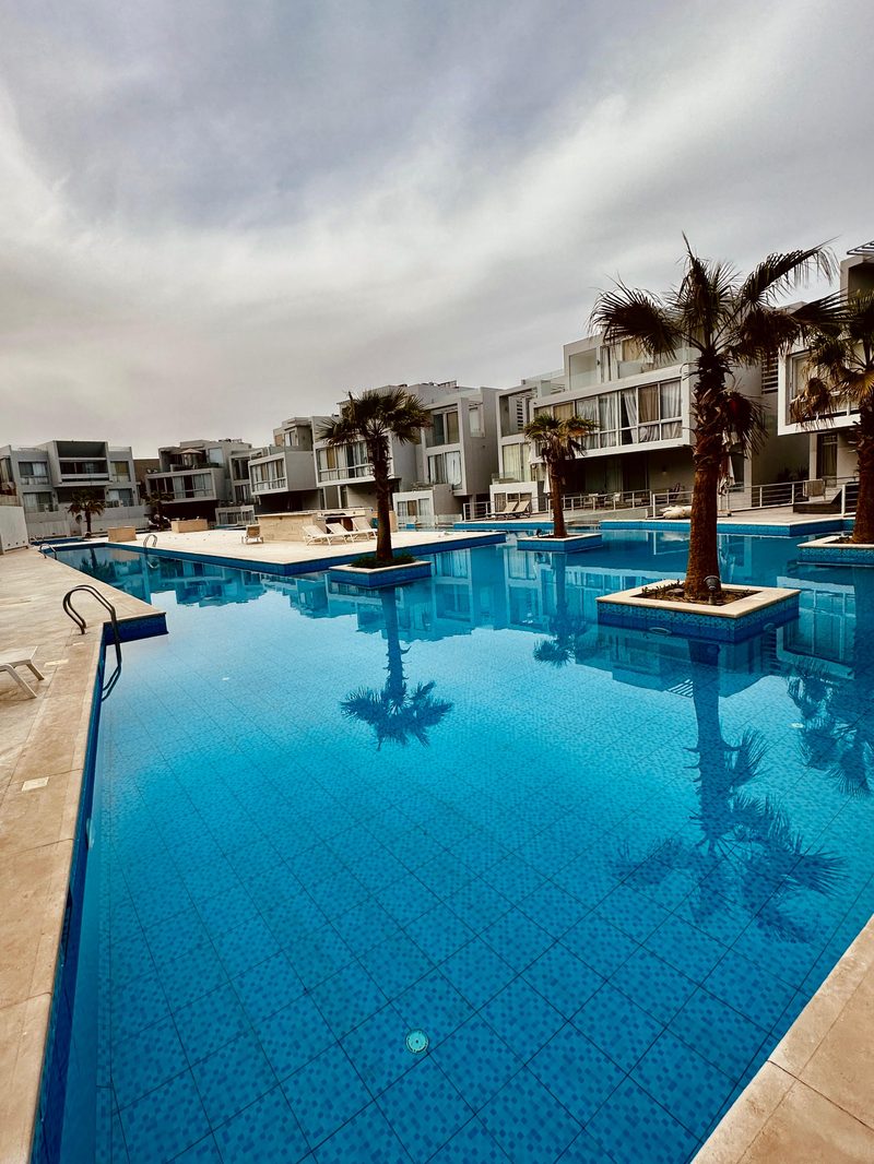 Pool and palms at a Friendly Places home in El Gouna